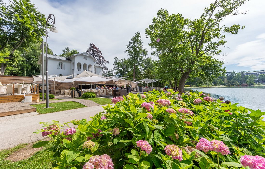 Villa Preseren Boutique Hotel on the shore of Lake Bled